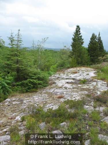 Around Slieve Dargan